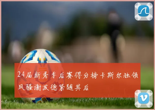 24届新秀季后赛得分榜卡斯尔独领风骚谢泼德紧随其后