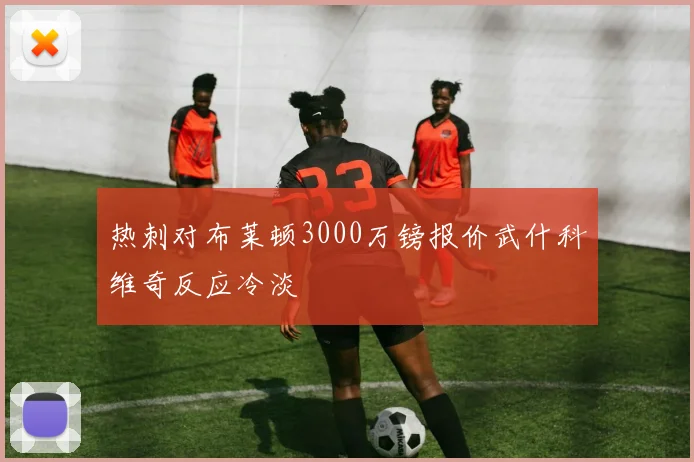热刺对布莱顿3000万镑报价武什科维奇反应冷淡