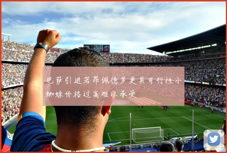 巴萨引进若昂佩德罗更具可行性小蜘蛛价格过高难以承受